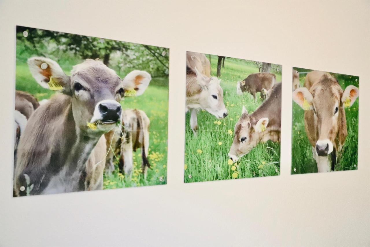 Ferienhof Koenig Neukirch  Buitenkant foto